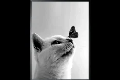 Art Print Butterfly Cat SHJ973