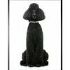 Art Print Chanel Poedel FA-110