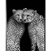 Art Print Cheeta CHEET-01
