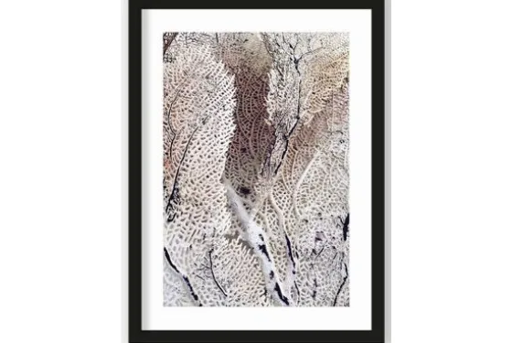Art Print Curly Soft Coral