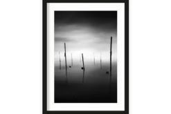 Art Print Fall In