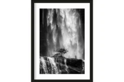 Art Print Germinate