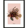 Art Print Lio