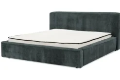 Bed  Elysium