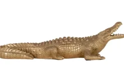 Beeld 210359 Crocodile