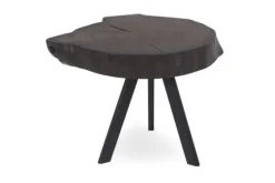 Bijzettafel Ruw