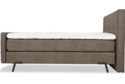 Boxspring Jungle Bolta