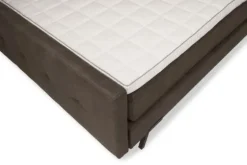 Boxspring Jungle Bolta