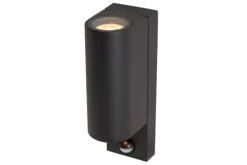 Buitenlamp Zaro IR