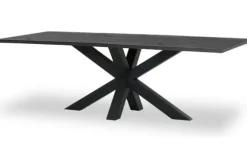 Eetkamertafel  Palenzo