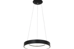 Hanglamp 2695ZW Ringlede
