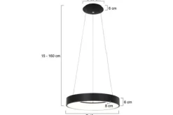 Hanglamp 2695ZW Ringlede
