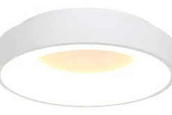 Plafondlamp 2563W Ringlede