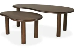 Salontafelset Nubi