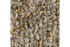 Vloerkleed Calendula 59103 Spring | Brink & Campman