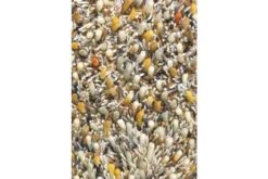 Vloerkleed Calendula 59103 Spring | Brink & Campman