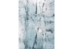 Vloerkleed Dragonfly 9773 Mad Men Sol | Louis de Poortere