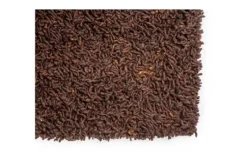 Vloerkleed Natural Beige 522 Berbero Lungo | Brinker