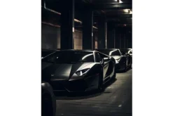 Wandkleed Luxury Drive