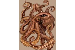 Wandkleed Pulpo