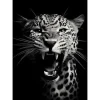 Wandkleed Rawr Cheetah